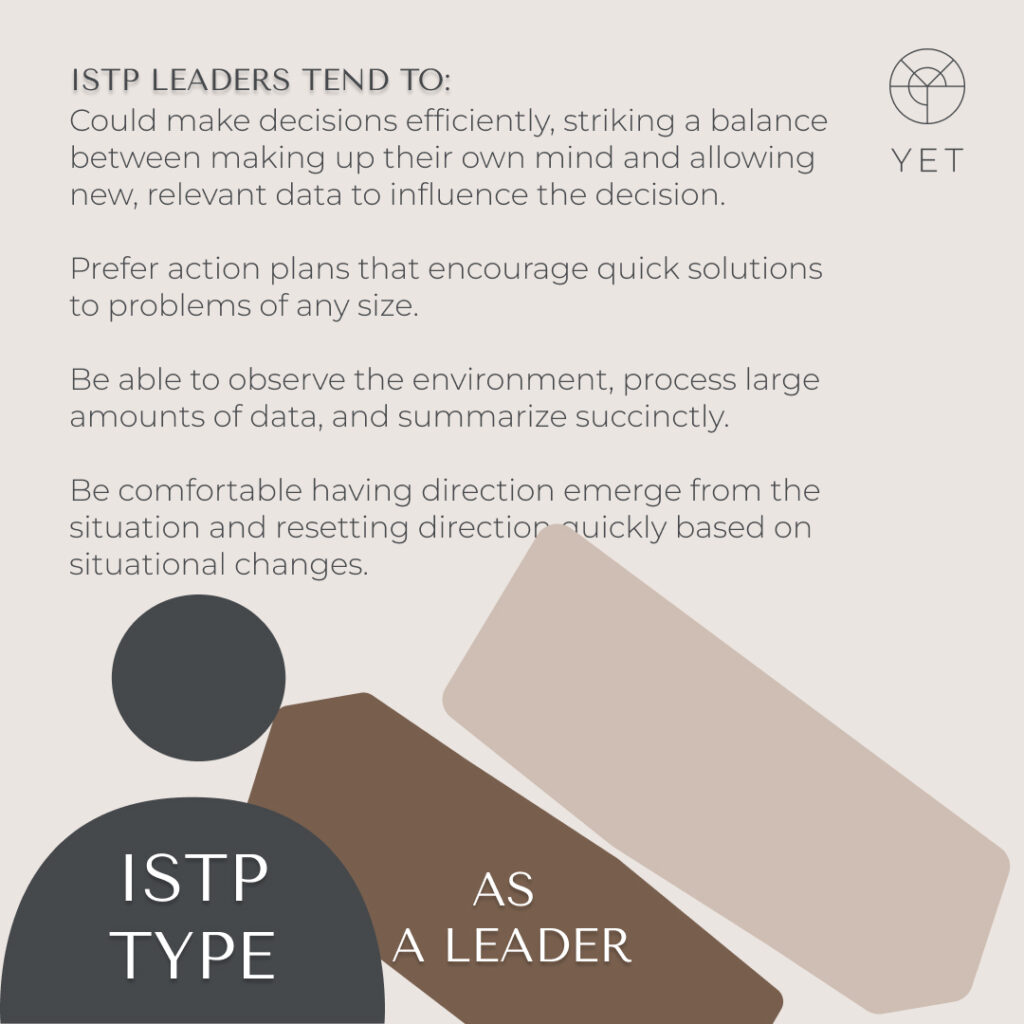 ISTP personality type - blog by Tanya Laumen - based on the original MBTI Framework - Introvert