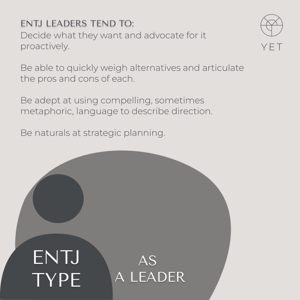 ENTJ personality type - blog by Tanya Laumen - based on the original MBTI Framework - Extrovert